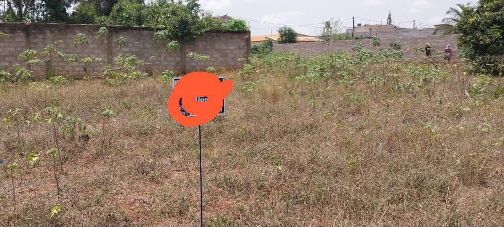 Terrain spacieux de 537 m² avec papiers complets et transaction sécurisée