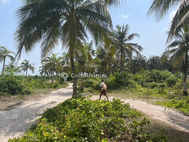 Terrain viabilisé de 378m² avec titre foncier et emplacement stratégique en zone touristique