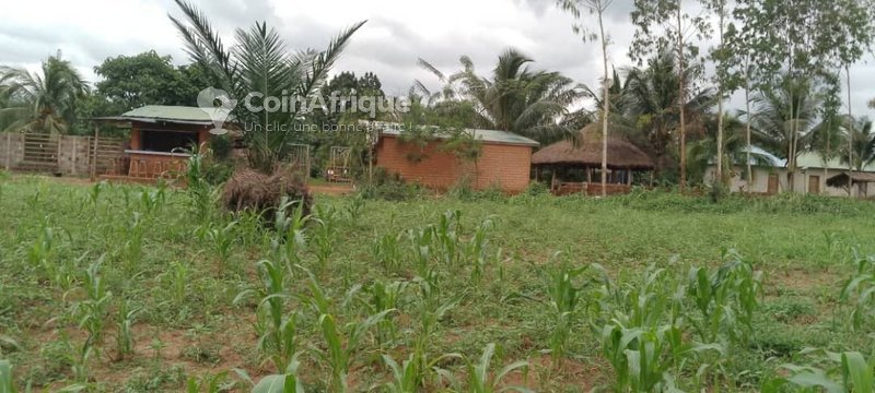 Terrain viabilisé de 350 m² avec titre foncier en zone électrifiée