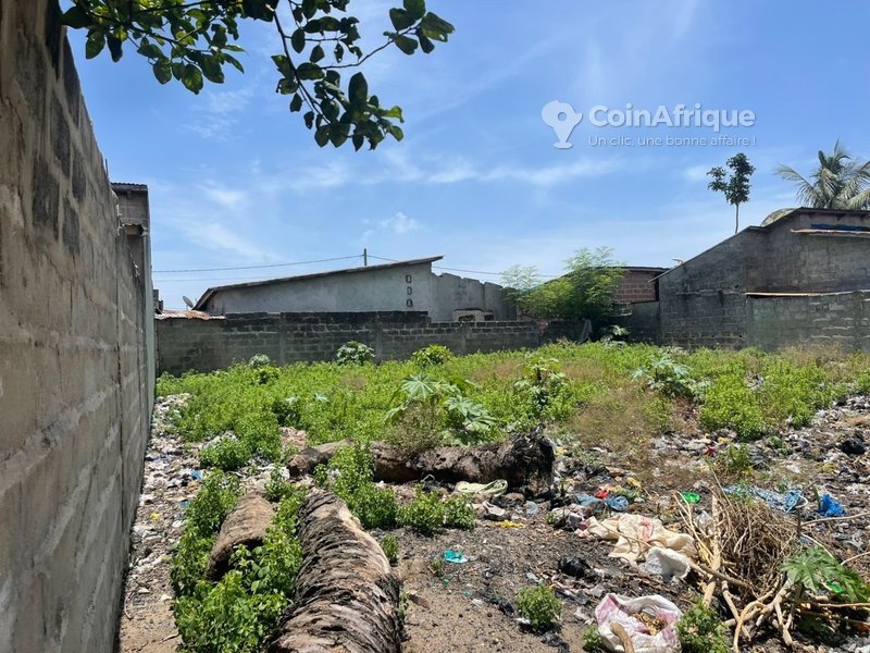 Terrain viabilisé avec titre foncier et accès direct au goudron