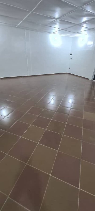 Magasin spacieux et meublé avec accès plain-pied au rez-de-chaussée