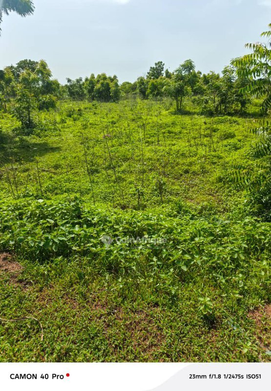 Terrain exceptionnel de plusieurs hectares avec accès facile et proximité immédiate de la route goudronnée