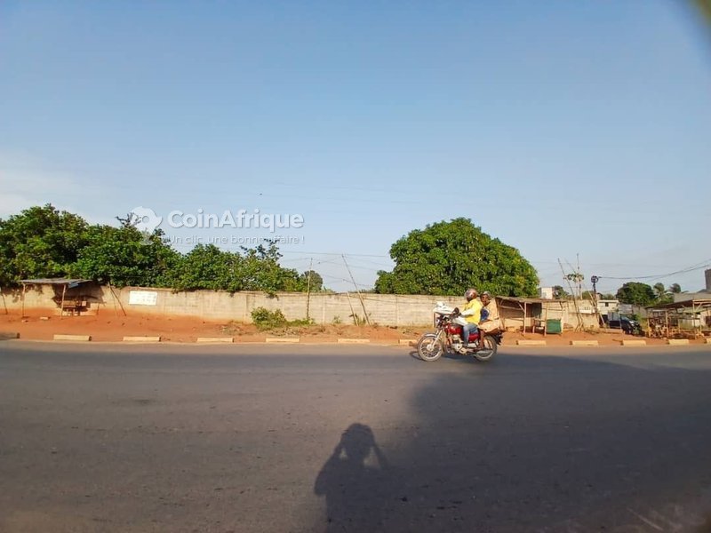 Terrain d'exception d'un hectare avec titre foncier personnel en bordure de voie inter-État