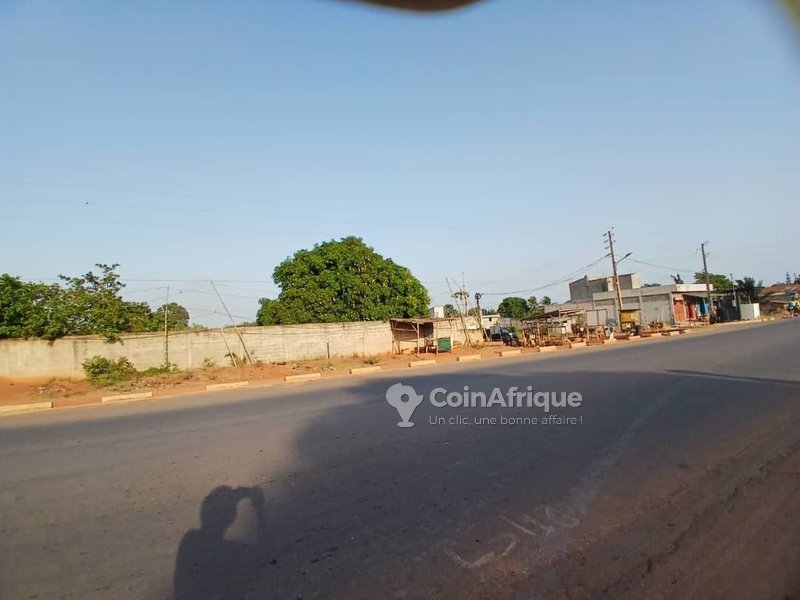 Terrain d'exception d'un hectare avec titre foncier personnel en bordure de voie inter-État