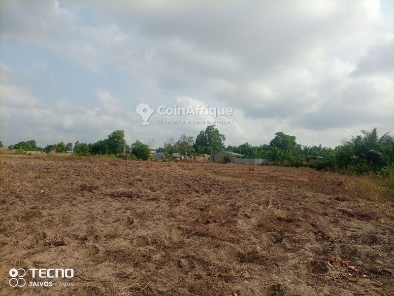 Terrain viabilisé à vendre avec électricité et accès privilégié