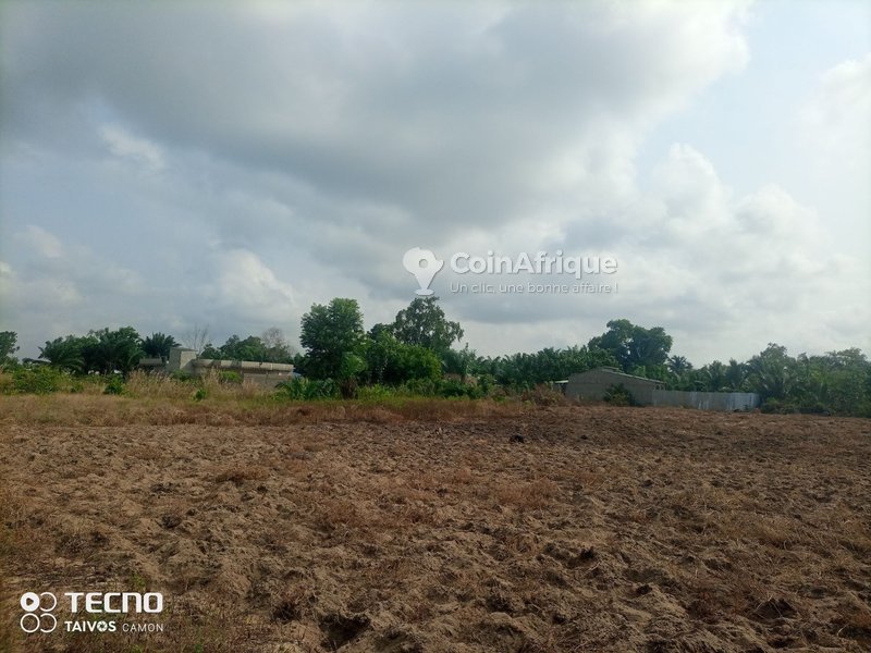 Terrain viabilisé à vendre avec électricité et accès privilégié