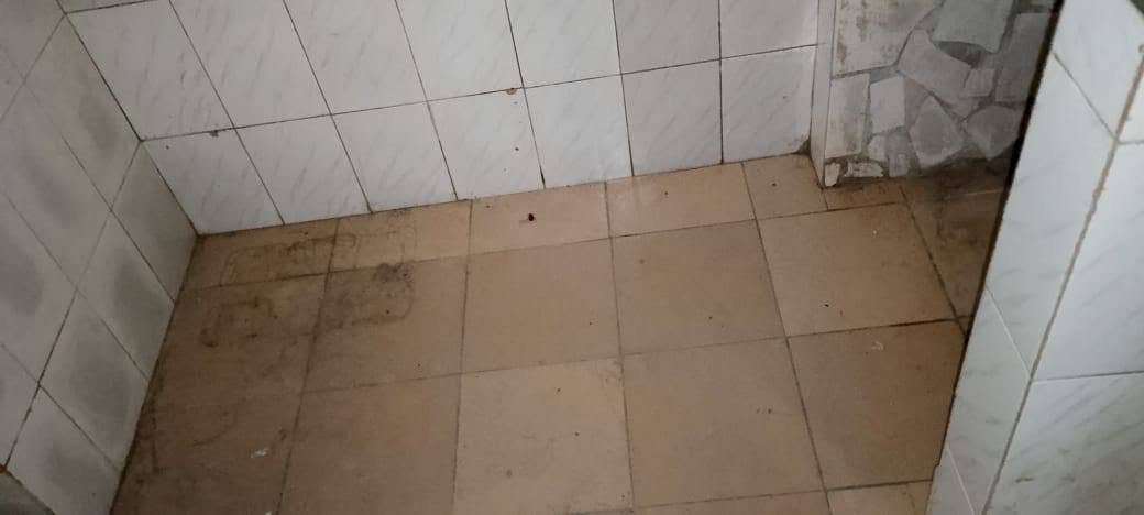 Appartement cosy d'une pièce avec terrasse et services inclus