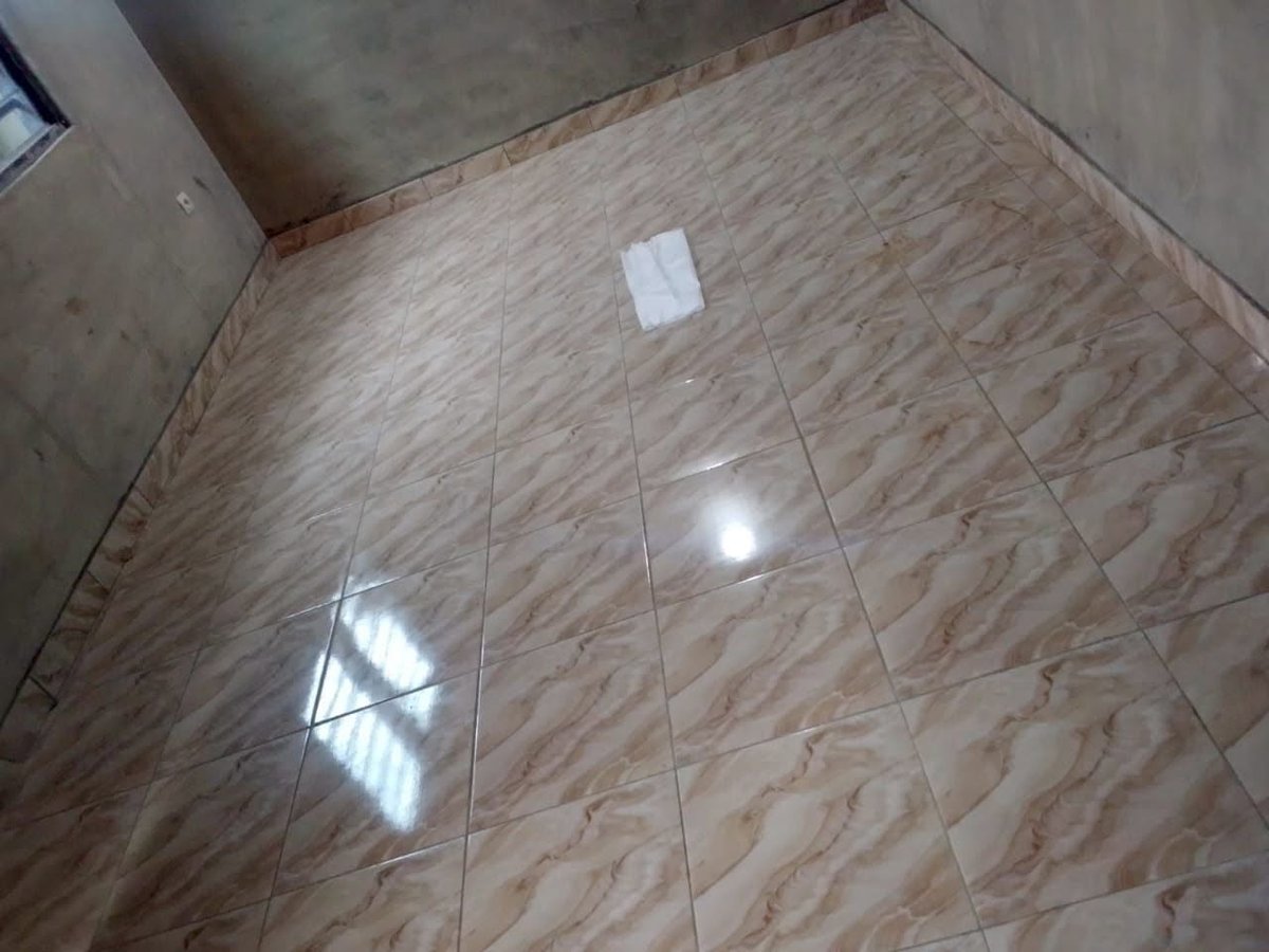 Appartement 1 pièce neuf avec arrière-cour et équipements modernes