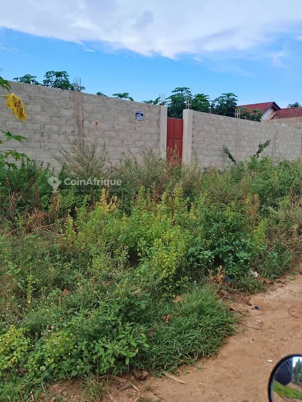 Terrain de 600 m² avec titre foncier personnel et clôture sécurisée