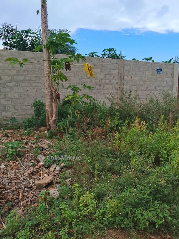 Terrain de 600 m² avec titre foncier personnel et clôture sécurisée