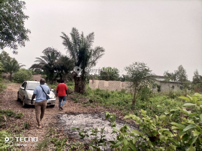 Terrain constructible de 500 m² avec électricité, eau courante et sécurité