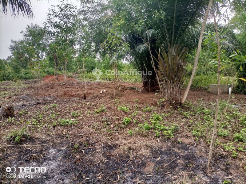 Terrain constructible de 500 m² avec électricité, eau courante et sécurité