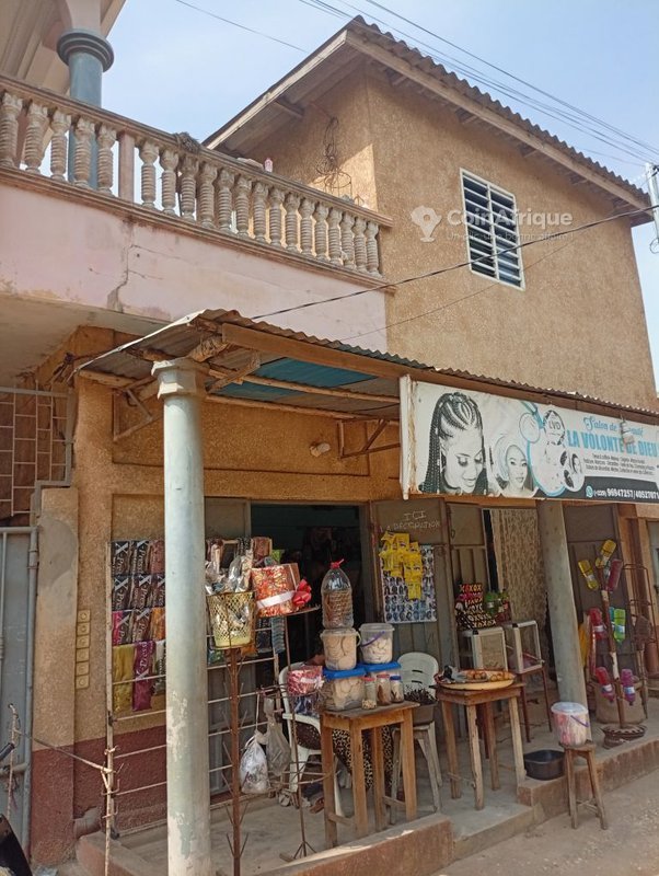 Villa luxueuse de 15 pièces avec multiples commodités et potentiel locatif