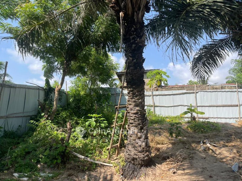 Terrain constructible de 700 m² avec accès immédiat aux infrastructures et poteaux électriques