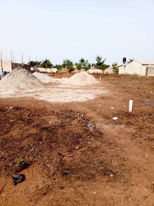 Terrain viabilisé avec titre foncier sécurisé - 10 parcelles de 350 m² chacune