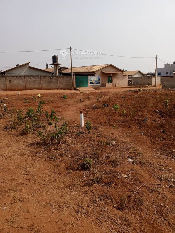 Terrain viabilisé avec titre foncier sécurisé - 10 parcelles de 350 m² chacune