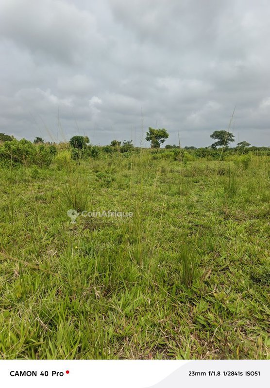Terrain exceptionnel de plusieurs dizaines d'hectares avec documents cadastraux à jour