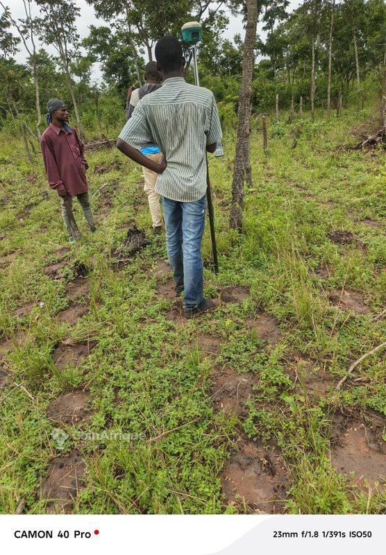 Terrain exceptionnel de plusieurs dizaines d'hectares avec documents cadastraux à jour
