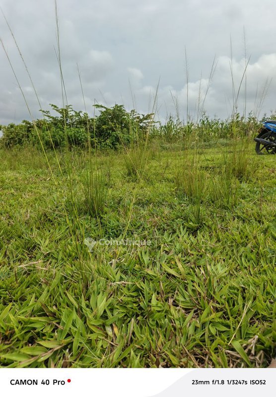 Terrain exceptionnel de plusieurs dizaines d'hectares avec documents cadastraux à jour
