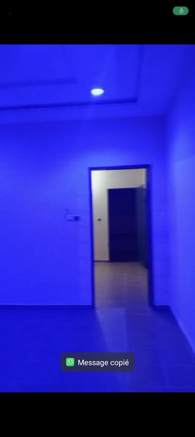 Appartement cosy d'une pièce avec sanitaire intégré et compteur personnel dans une nouvelle construction