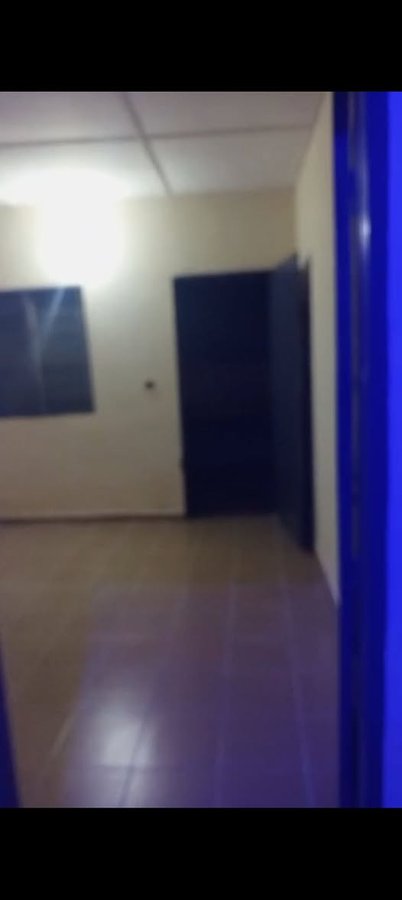Appartement cosy d'une pièce avec sanitaire intégré et compteur personnel dans une nouvelle construction