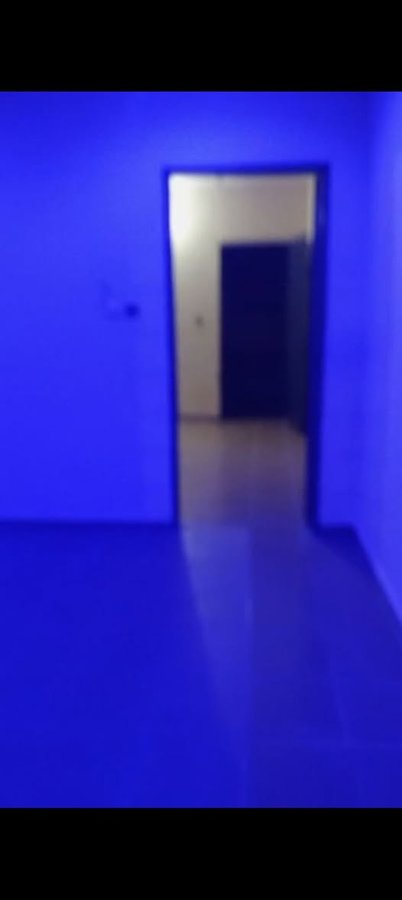 Appartement cosy d'une pièce avec sanitaire intégré et compteur personnel dans une nouvelle construction