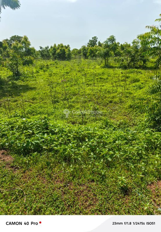Domaine agricole de dix hectares avec accès facile à une voie principale