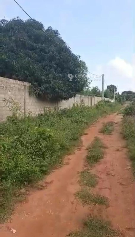 Terrain de 2262 m² avec 4 parcelles clôturées et titre foncier en main