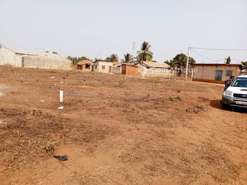 Terrain viabilisé de 350 m² avec titre foncier sécurisé – Idéal pour projets résidentiels ou locatifs