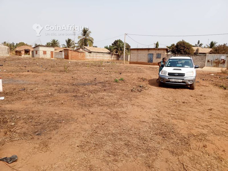 Terrain viabilisé de 350 m² avec titre foncier sécurisé – Idéal pour projets résidentiels ou locatifs