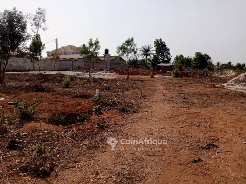 Terrain viabilisé de 350 m² avec titre foncier sécurisé – Idéal pour projets résidentiels ou locatifs