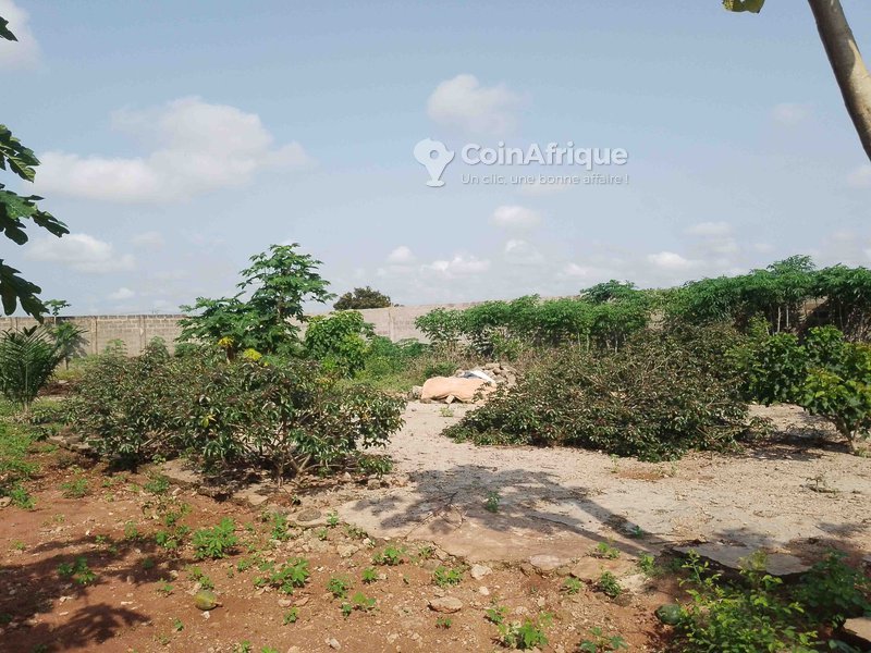 Terrain exceptionnel de 1000 m² avec titre foncier et clôture