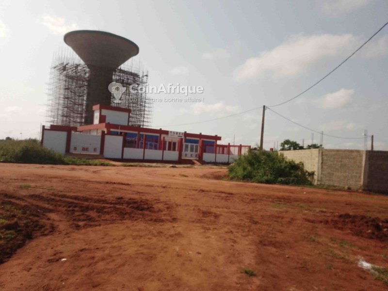 Terrain exceptionnel de 1000 m² avec titre foncier et clôture