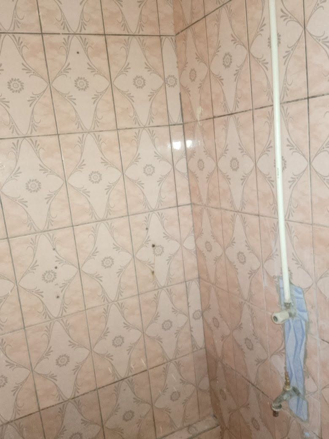 Appartement 1 pièce avec douche séparée et accès véhicule