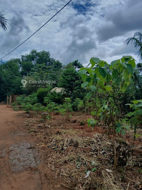 Terrain viabilisé de 400 m² avec titre foncier et accès toute saison