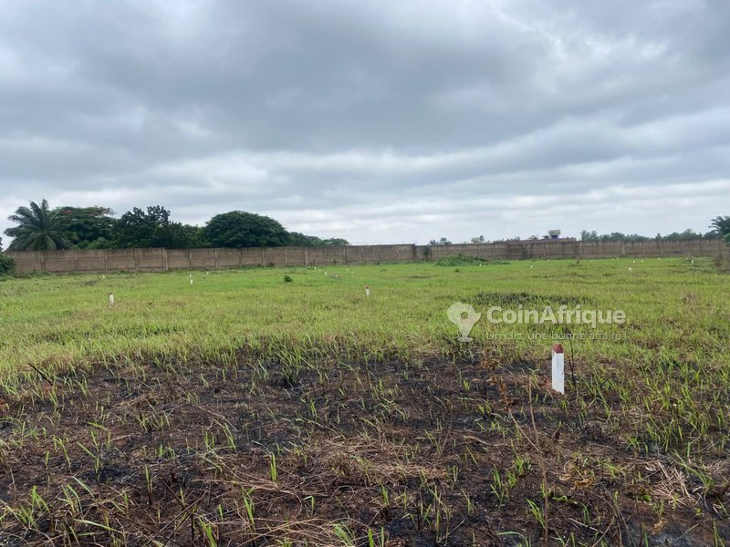 Terrain constructible de 350m² avec voies aménagées et documents légaux complets