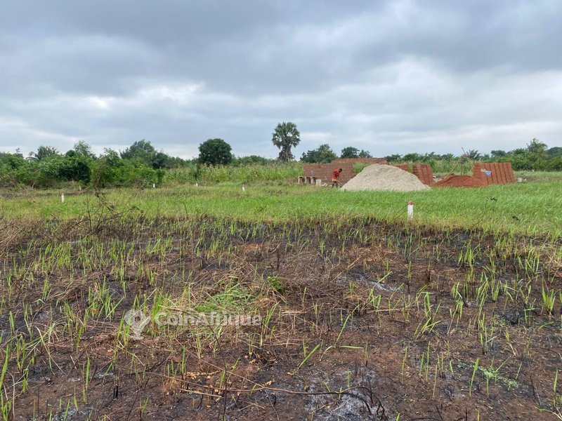 Terrain constructible de 350m² avec voies aménagées et documents légaux complets