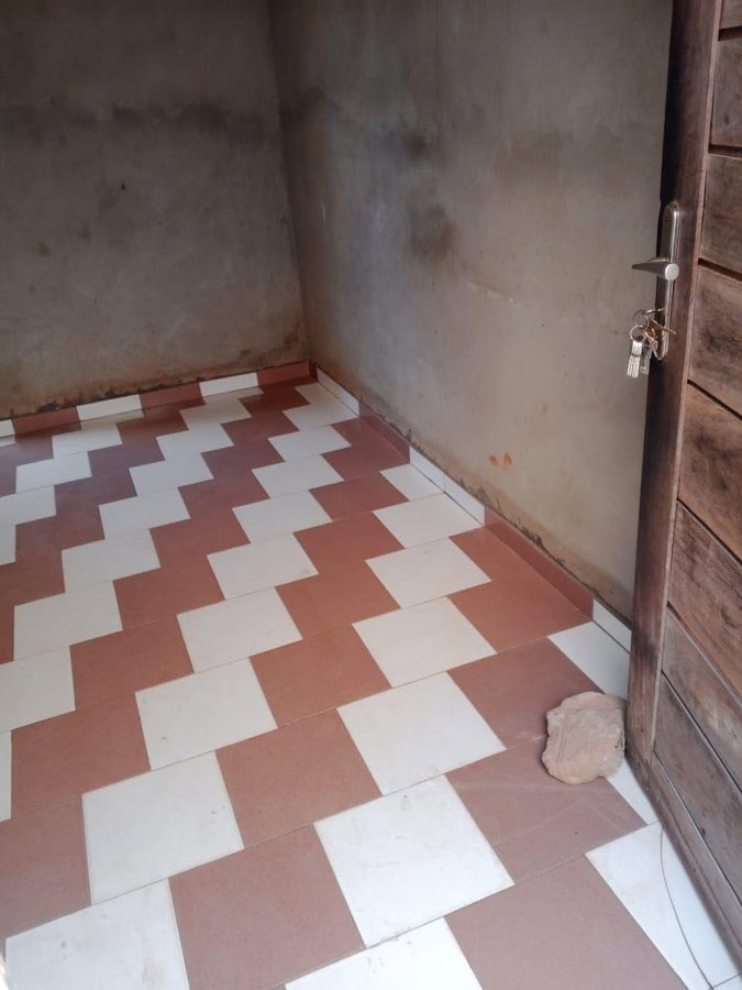 Chambre salon avec terrasse et arrière-cour sécurisée