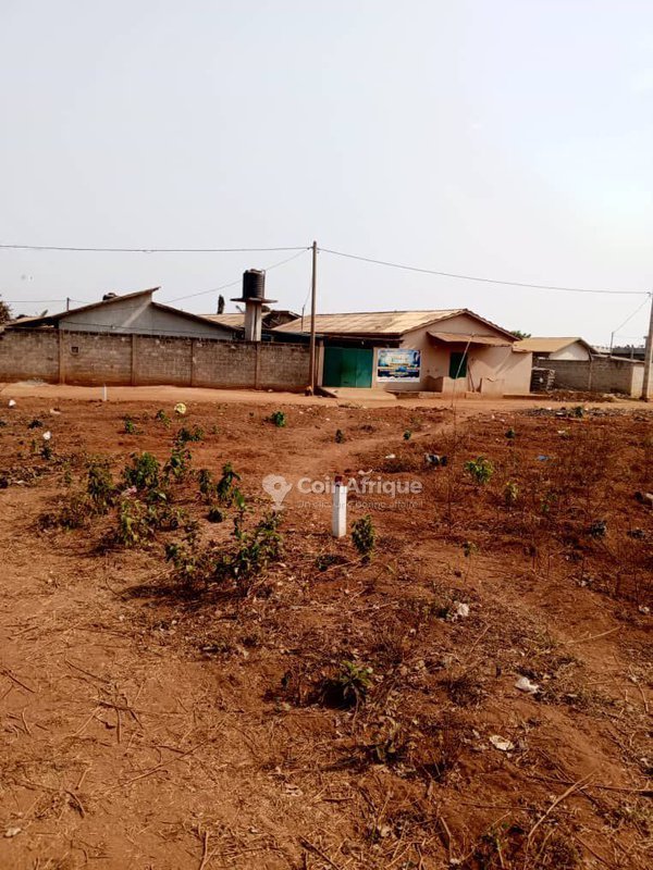 Terrain viabilisé de 350 m² avec titre foncier sécurisé – Idéal pour investissement immobilier