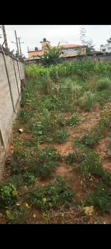 Terrain clôturé de 591 m² avec attestation de recasement et permis d'habiter