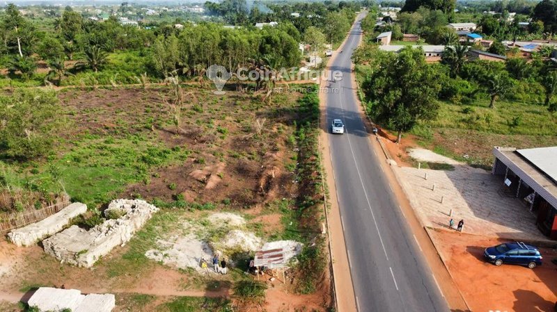 Terrain spacieux de 11 000 m² avec titre foncier personnel en bordure de route goudronnée