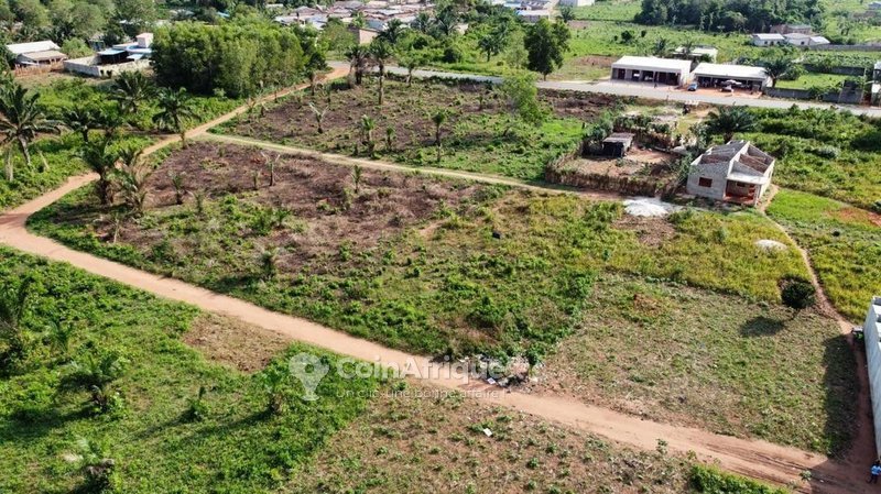 Terrain spacieux de 11 000 m² avec titre foncier personnel en bordure de route goudronnée