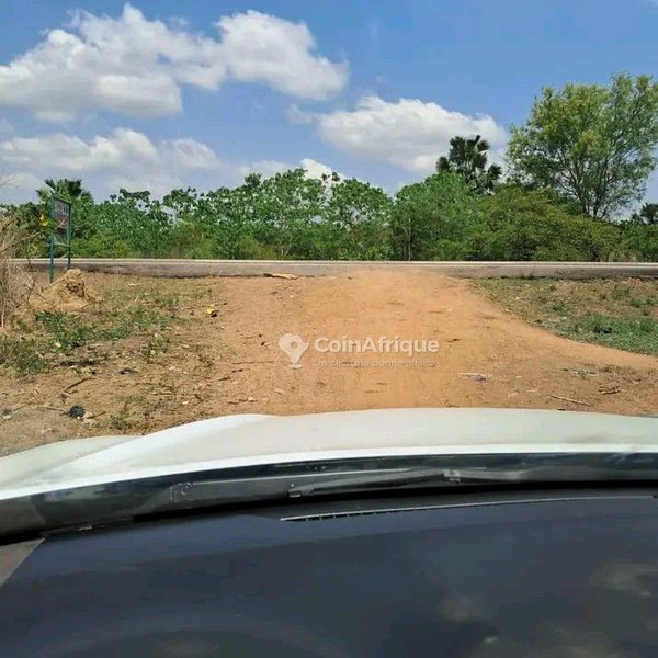 Terrain agricole spacieux idéal pour la création d'une ferme