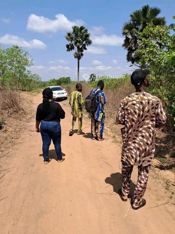 Terrain agricole spacieux idéal pour la création d'une ferme