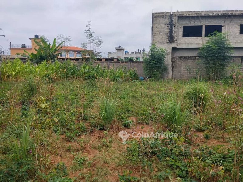 Terrain constructible de 607 m² en angle de rues stratégiques - Idéal pour projets immobiliers