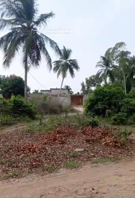 Terrain exceptionnel de 1001 m² avec titre foncier personnel et milieu électrifié
