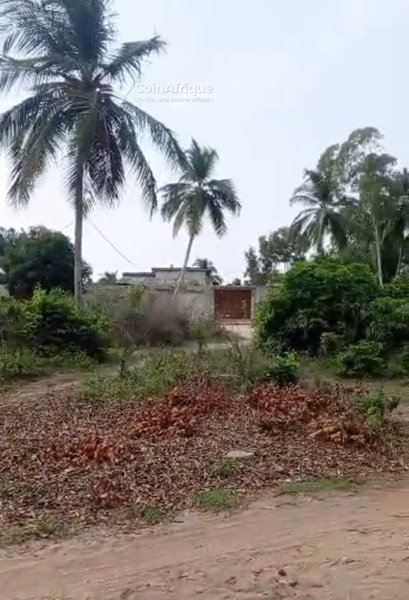 Terrain exceptionnel de 1001 m² avec titre foncier personnel et milieu électrifié