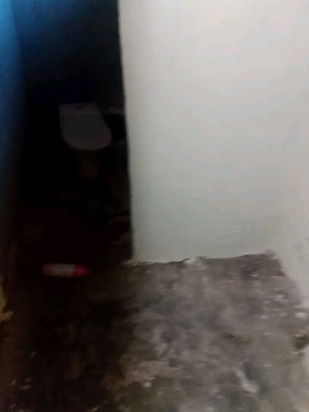 Appartement meublé d'une pièce avec commodités intérieures et finitions soignées