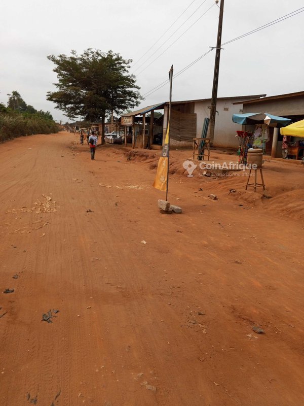 Terrain de 350 m² avec titre foncier sécurisé et accès privilégié