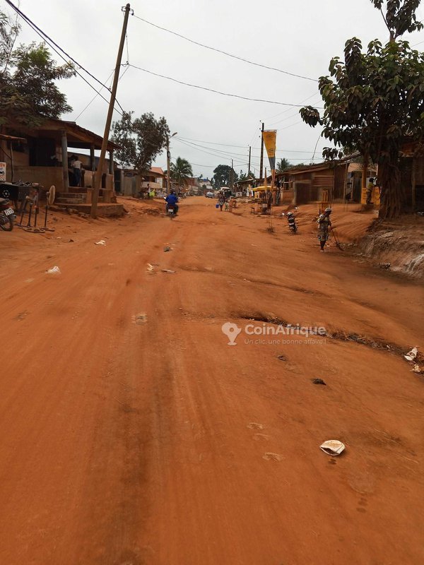 Terrain de 350 m² avec titre foncier sécurisé et accès privilégié